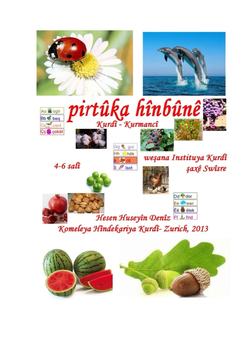 Ji bo Zarokên 4-6 Salî Pirtûka Hînbûnê